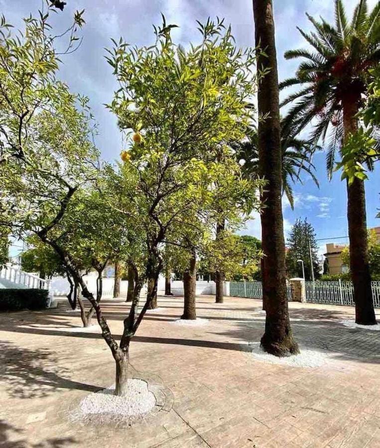 Апартаменты Nuevo Los Almendros 204 Complejo Turistico Кордова Экстерьер фото